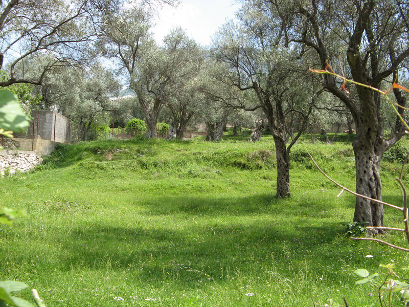 Продажа - Земля Bar, Bar