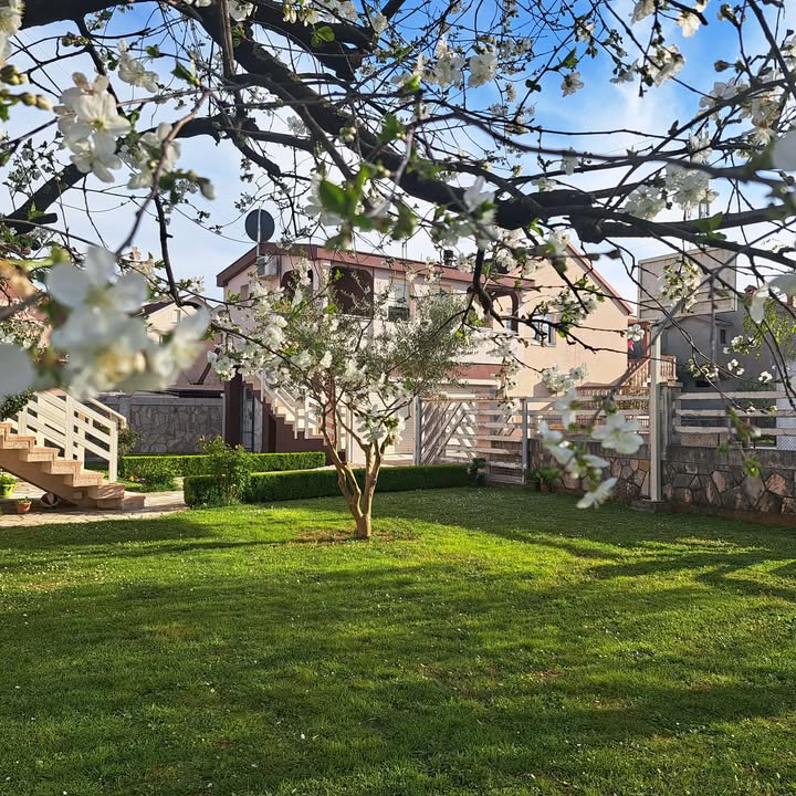 Izdavanje - Stan Podgorica, Dalmatinska ulica