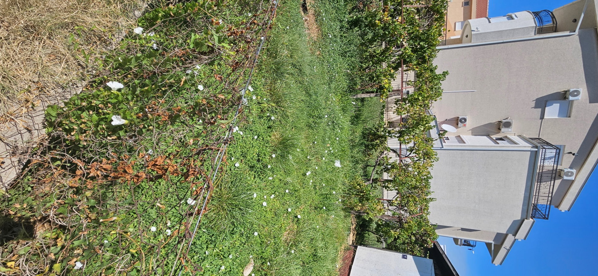 Satılık - Arazi Bar, Bar