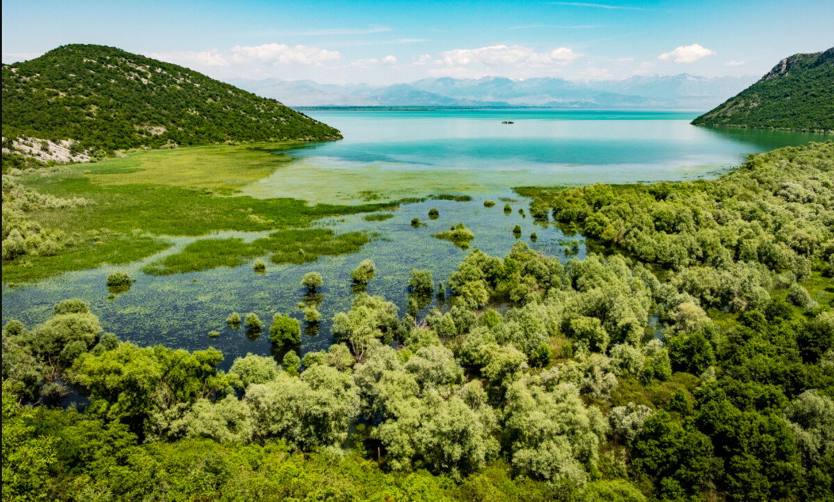 Slika nekretnine 12