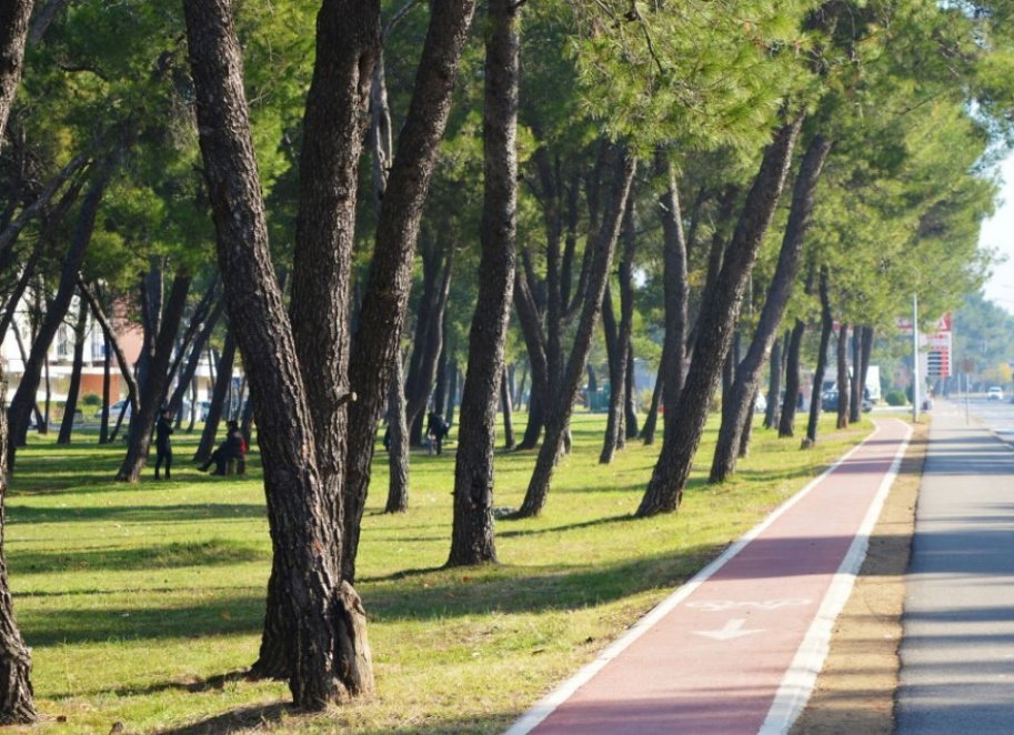 Продажа - Квартира Podgorica, Blok 6