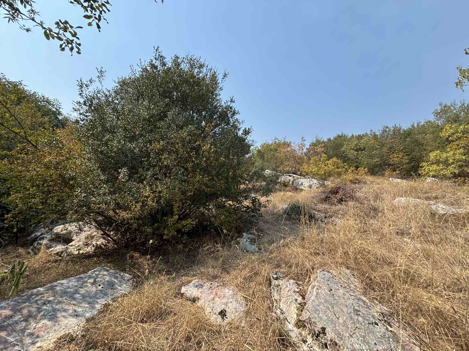 Slika nekretnine 9