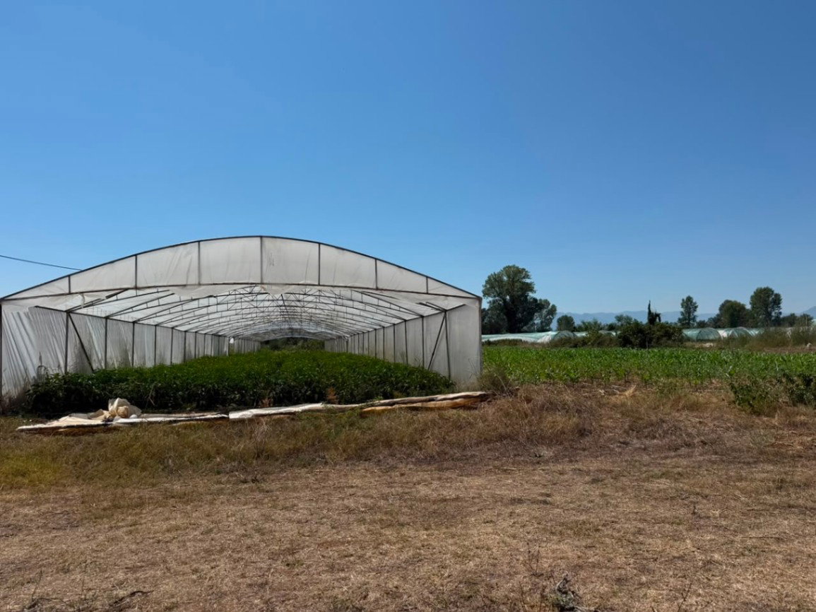 Satılık - Arazi Podgorica, Zeta