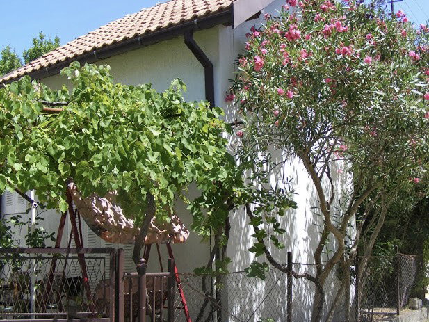 Продаж - Будинок Bar, Bar