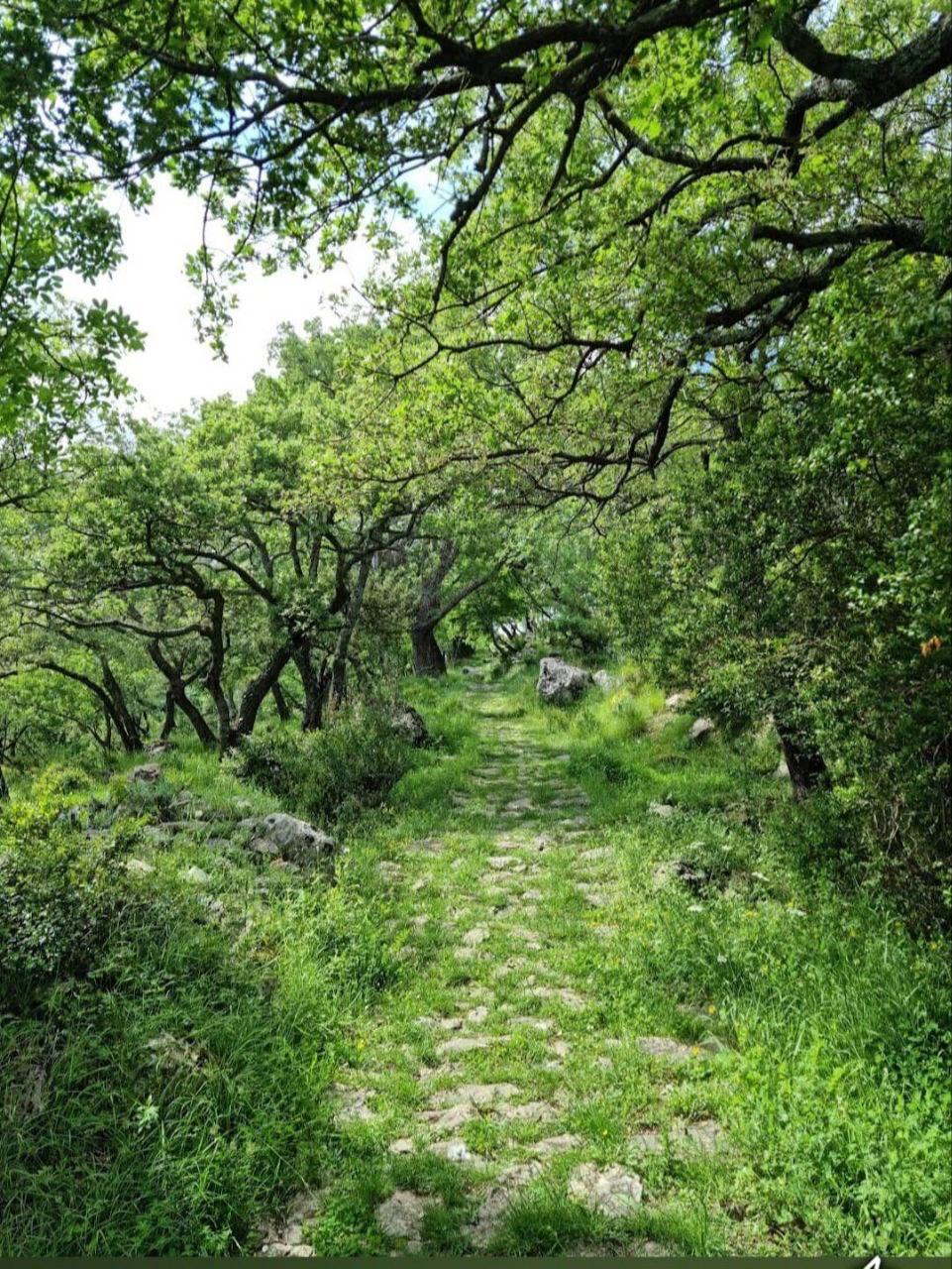 Slika nekretnine 12