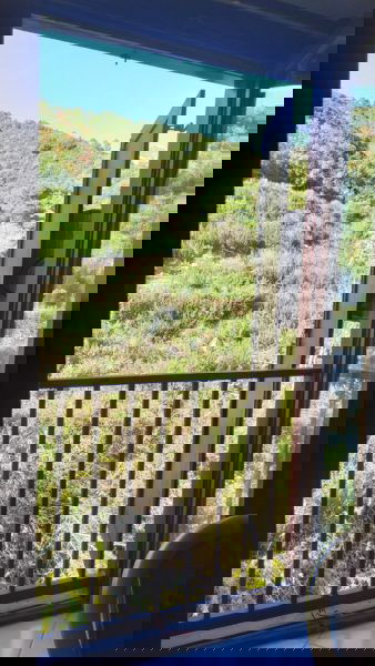 4d5e864d-100b-49b0-9415-dca69f6d4e27.jpg