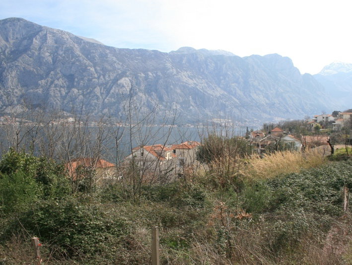 Slika nekretnine 6