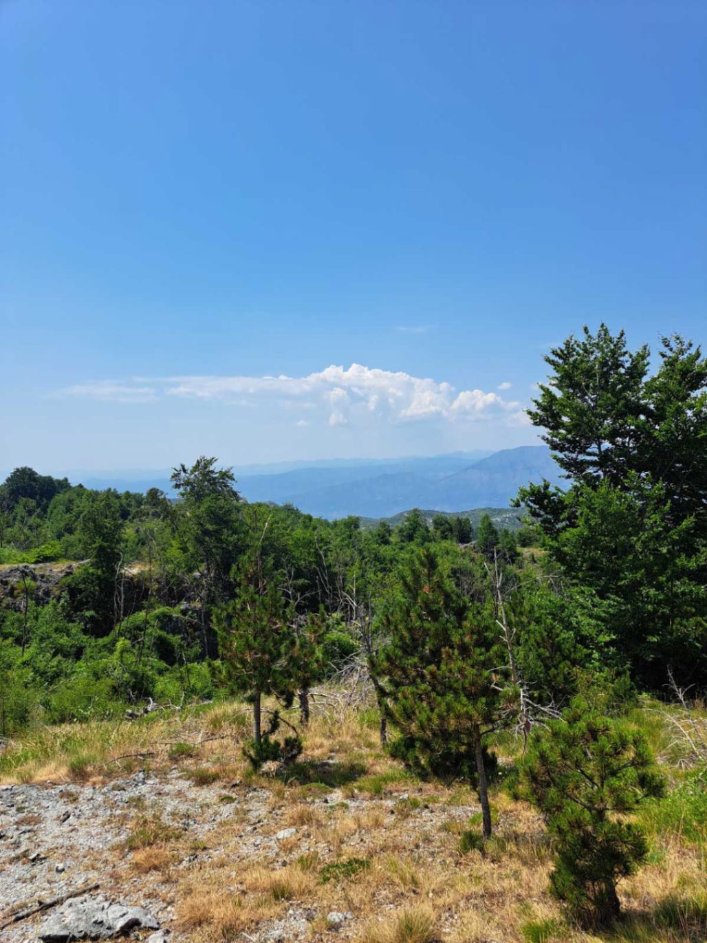 Sale - Land Danilovgrad, Slatina