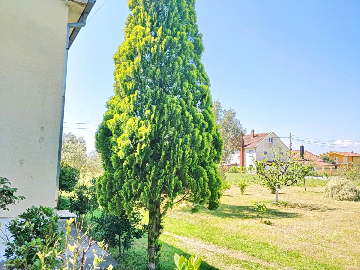 Slika nekretnine 4