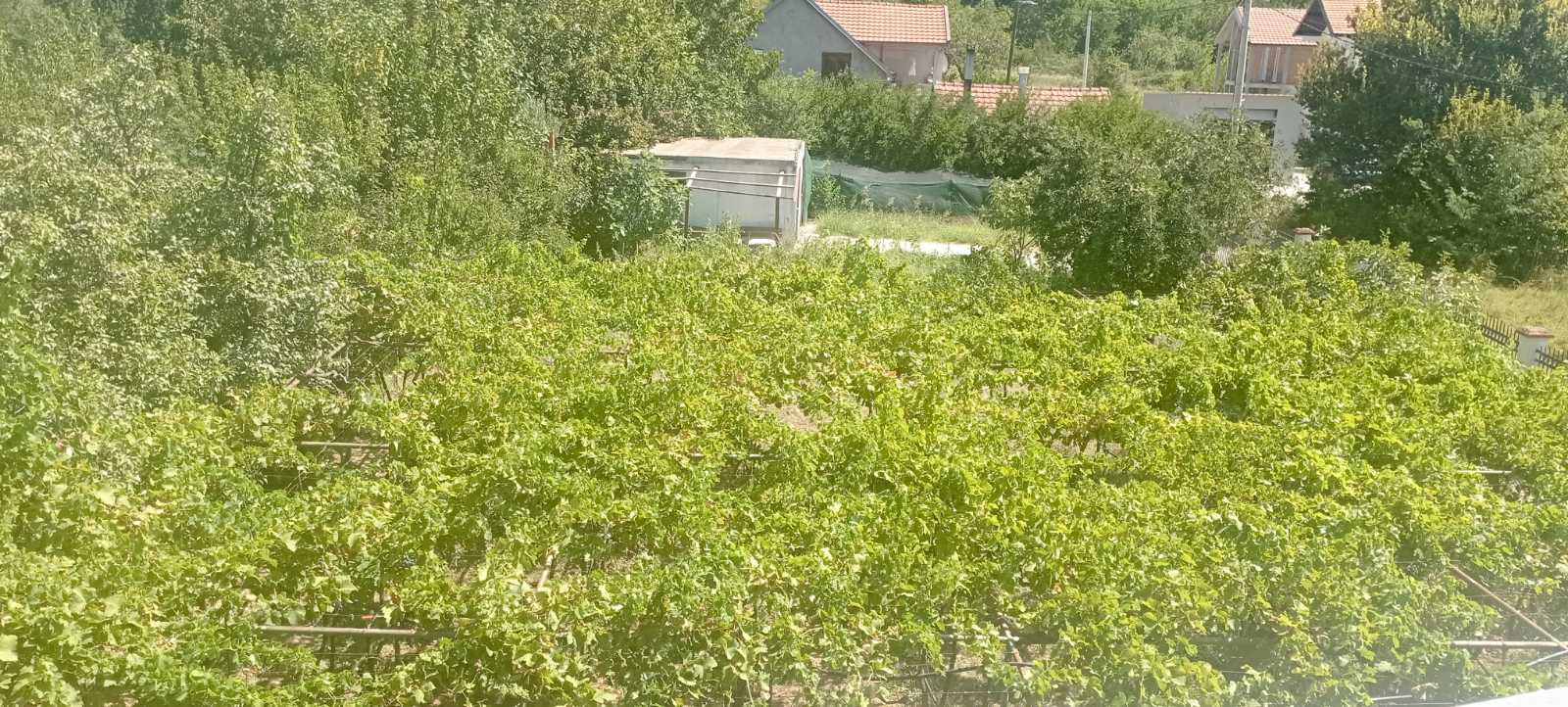Продаж - Земля Podgorica, Doljani