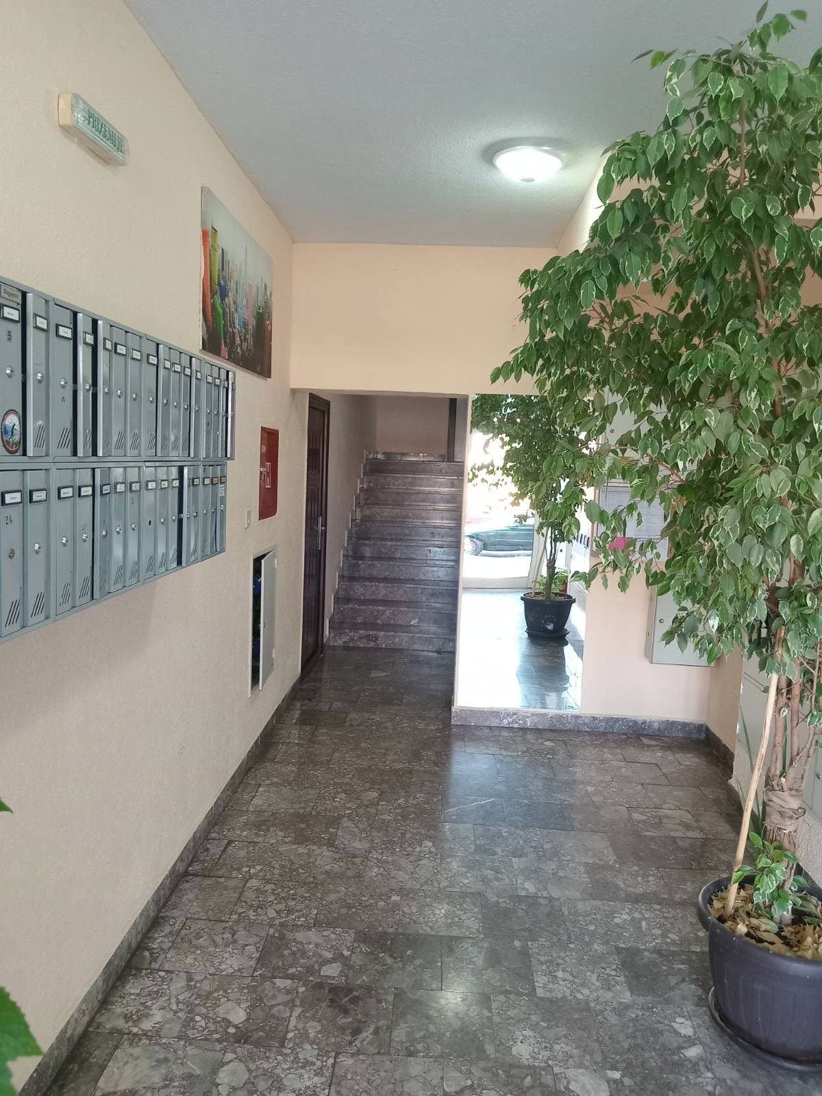 51623df8-b797-4b76-bbf9-de696273db4c.jpeg
