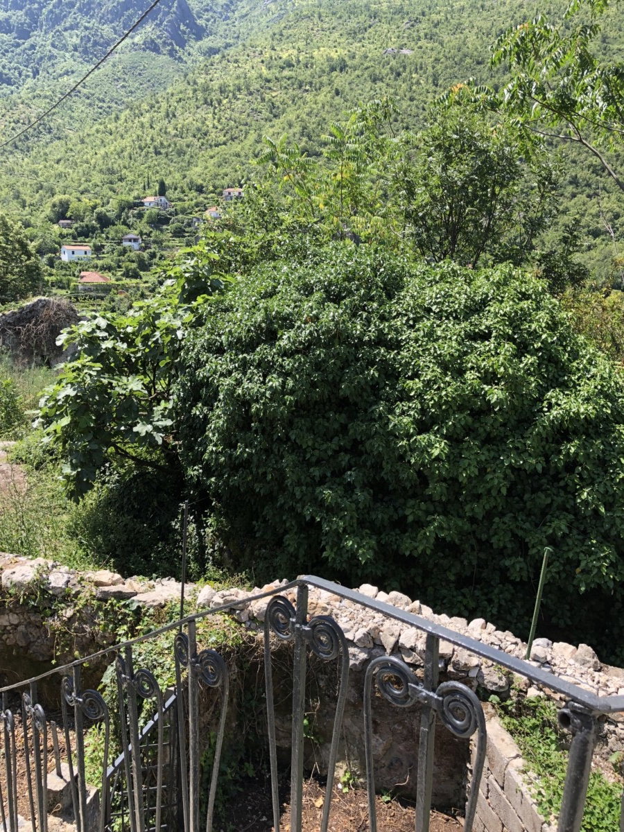 Slika nekretnine 10