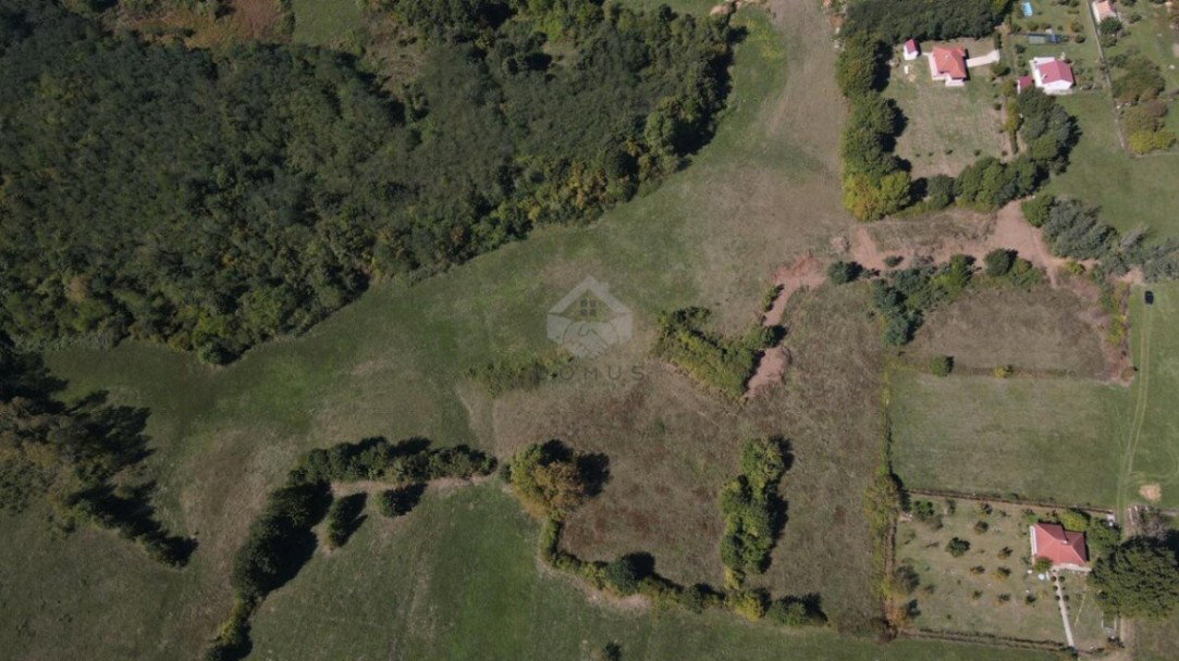 Продаж - Земля Danilovgrad, Sladojevo Kopito