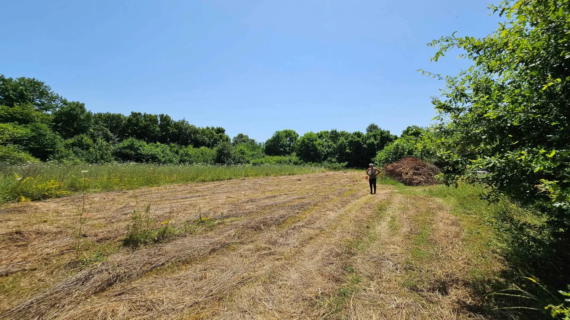 Prodaja - Zemljište Danilovgrad, Danilovgrad