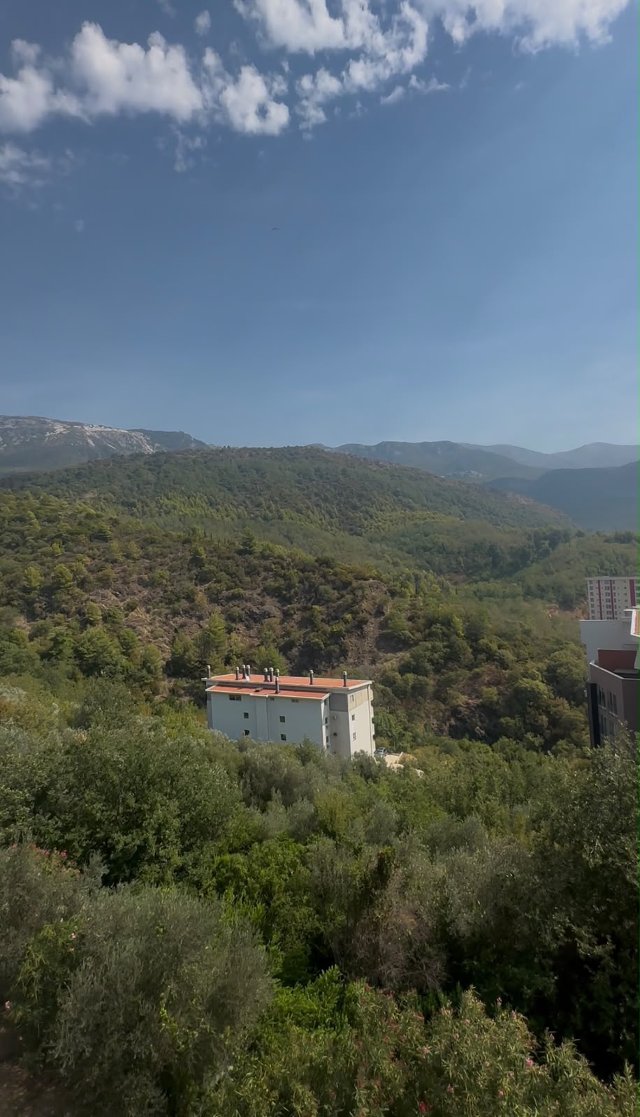 Slika nekretnine 12