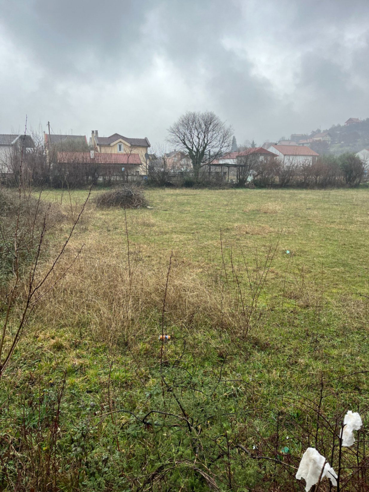 Продаж - Земля Podgorica, Masline