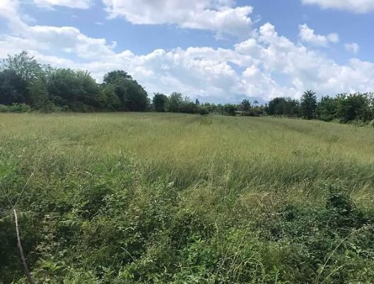 Продаж - Земля Podgorica, Zeta