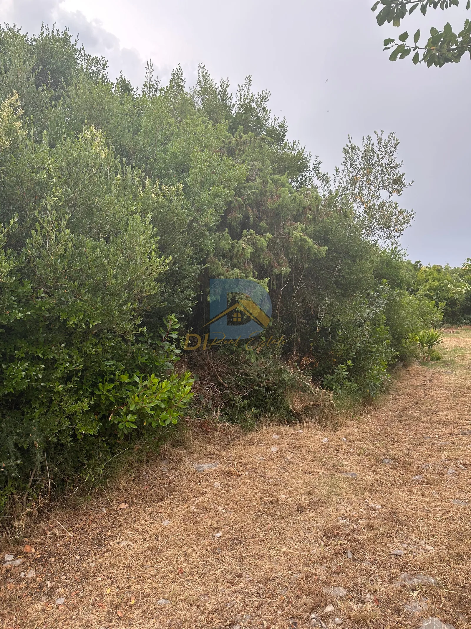 Slika nekretnine 3