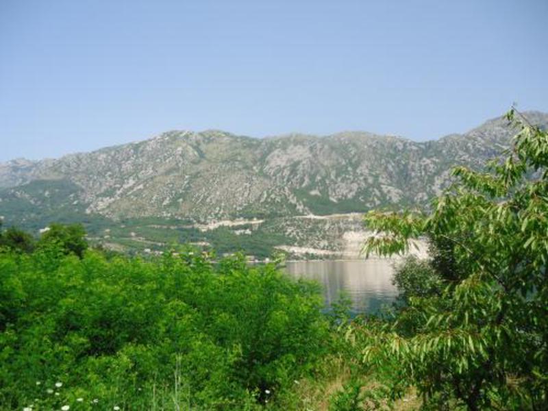 Slika nekretnine 5