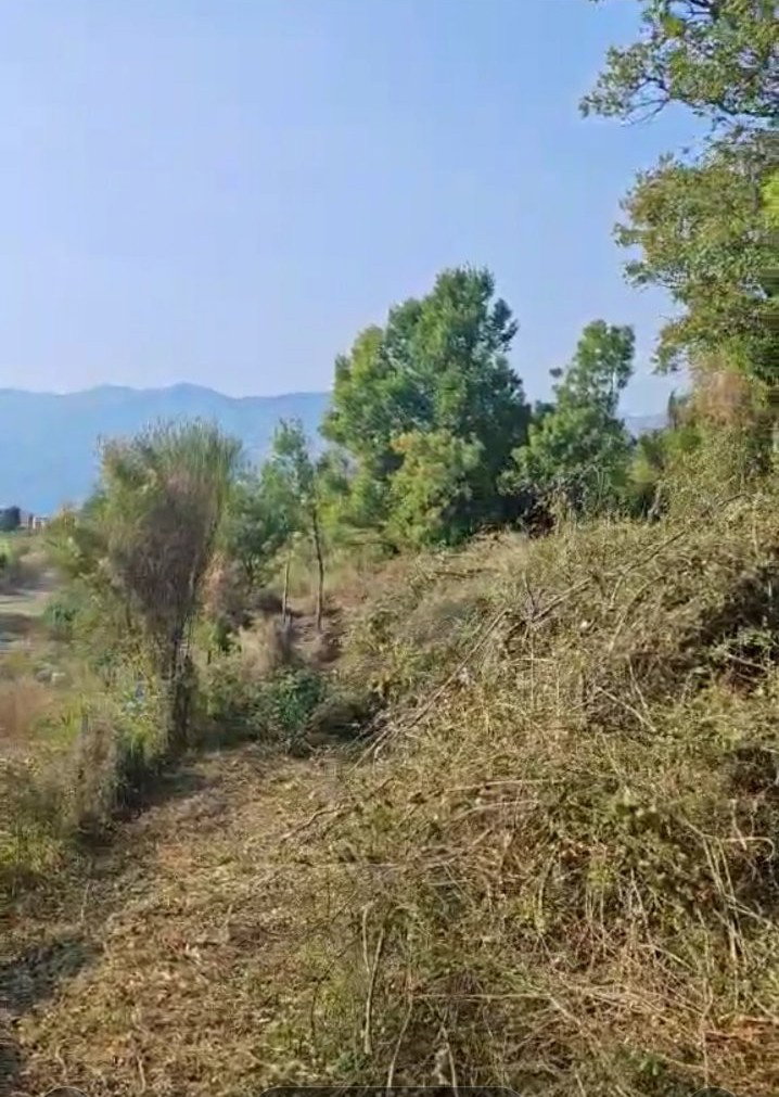 Slika nekretnine 5