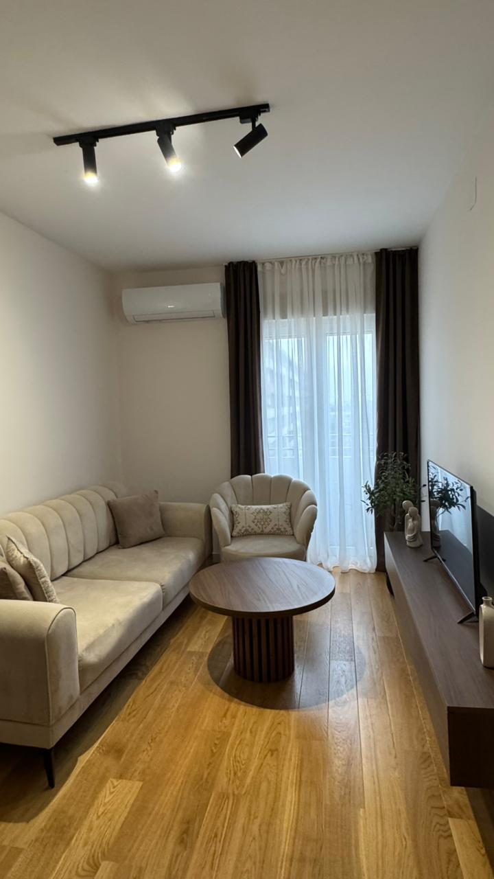 Rent - Apartment Podgorica, Central Point