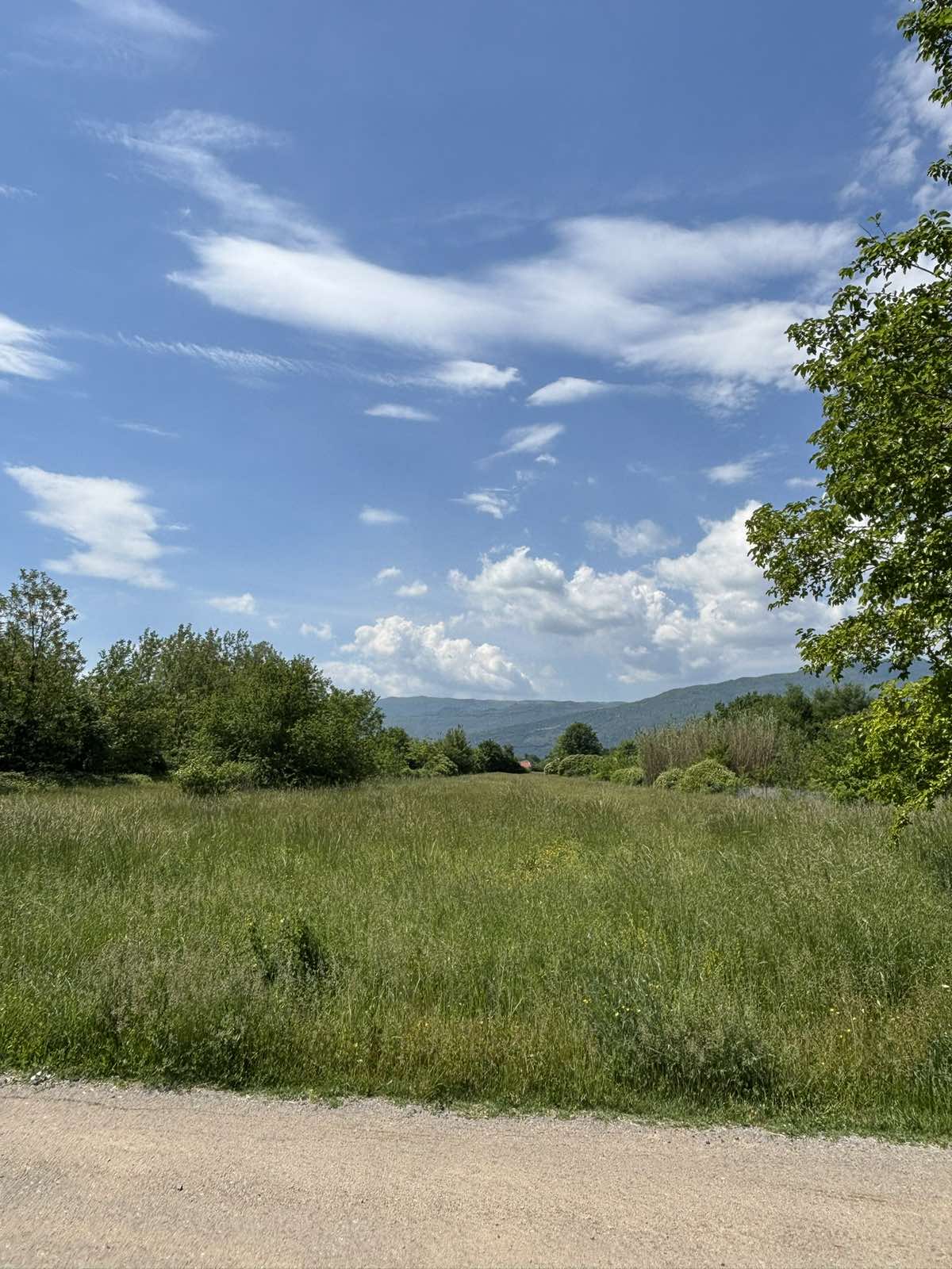 65b05efb-f155-4588-849a-7b8c8360b004.jpg
