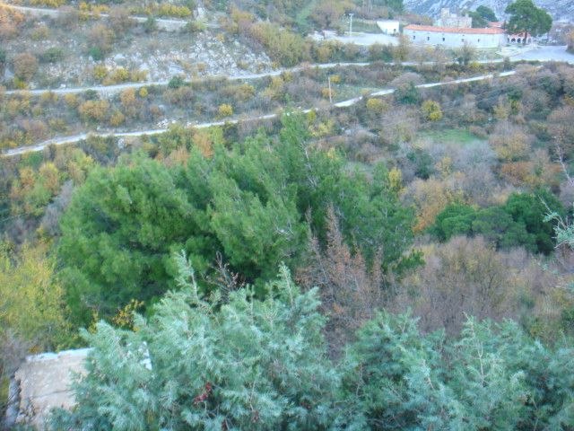 Slika nekretnine 7