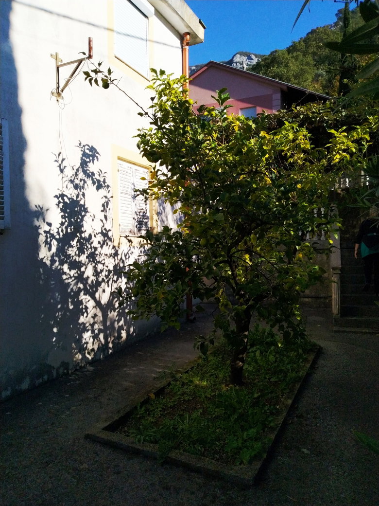 68e609e7-a1ae-4bd4-8a71-3a3139d6fbe0.jpg