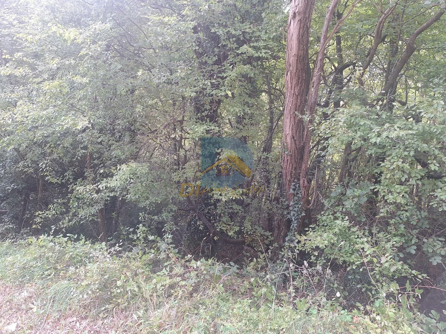 Slika nekretnine 5