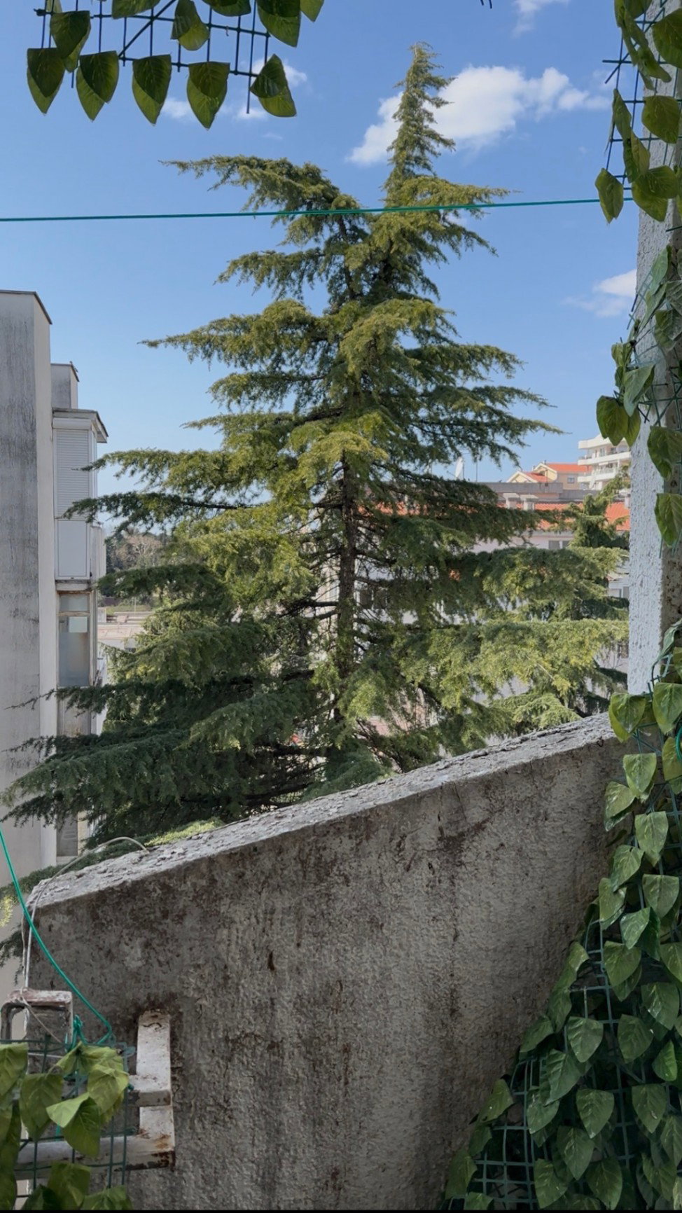 Slika nekretnine 10