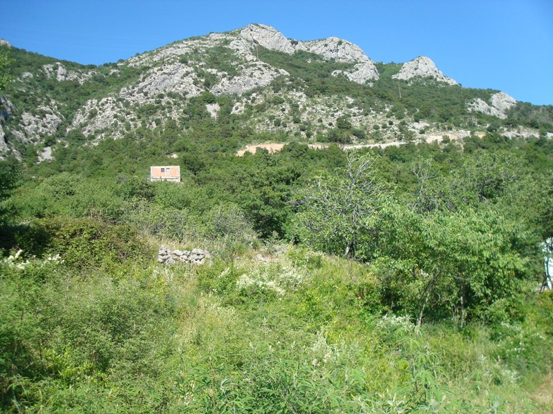 Slika nekretnine 2