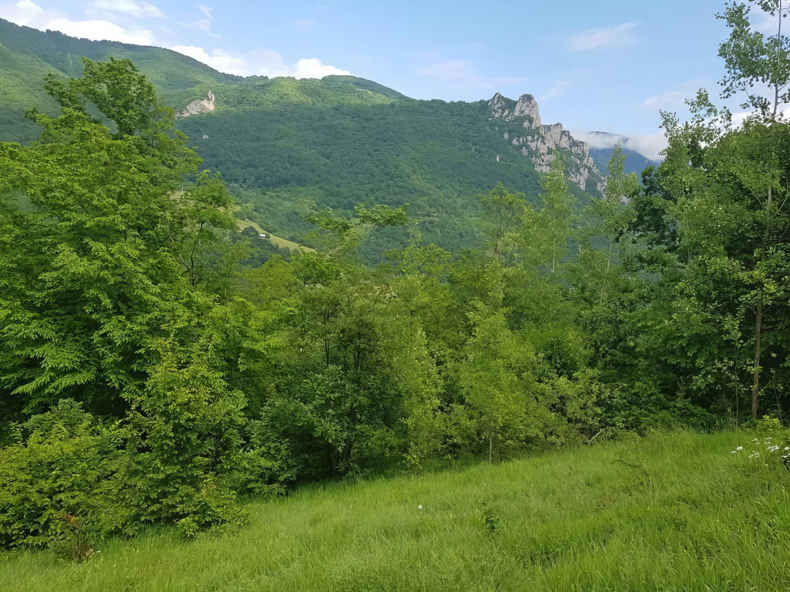 Slika nekretnine 6