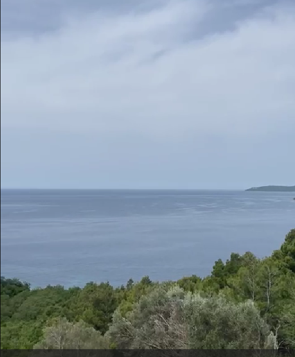 Slika nekretnine 3