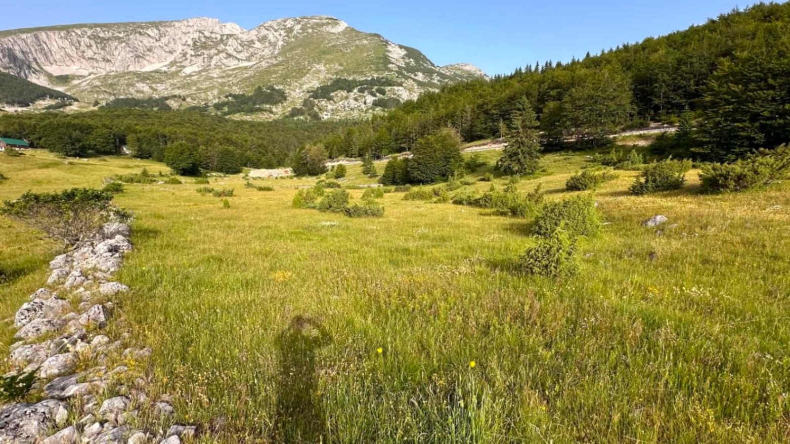 Satılık - Arazi Žabljak, Motički gaj