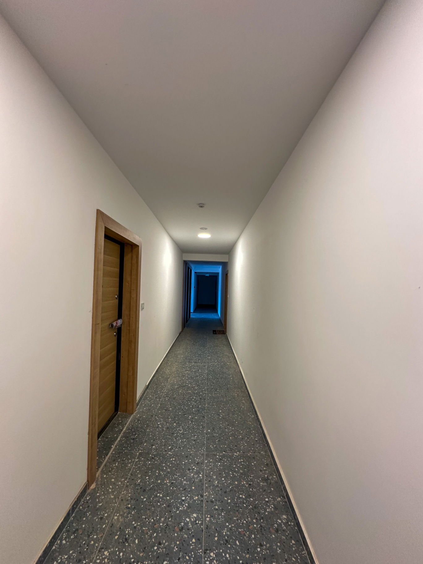 7550e433-ce45-40ac-886f-2c00c633b4b1.jpeg