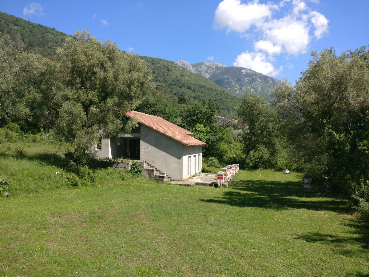 Satılık - Ev Kotor, Kavač