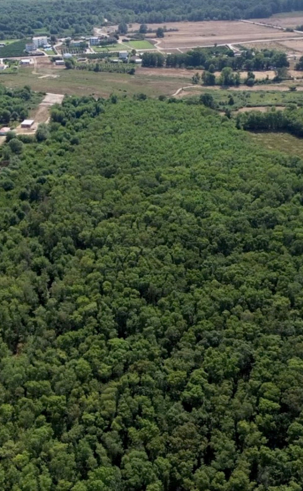 Prodaja - Zemljište Ulcinj, Gornji Štoj