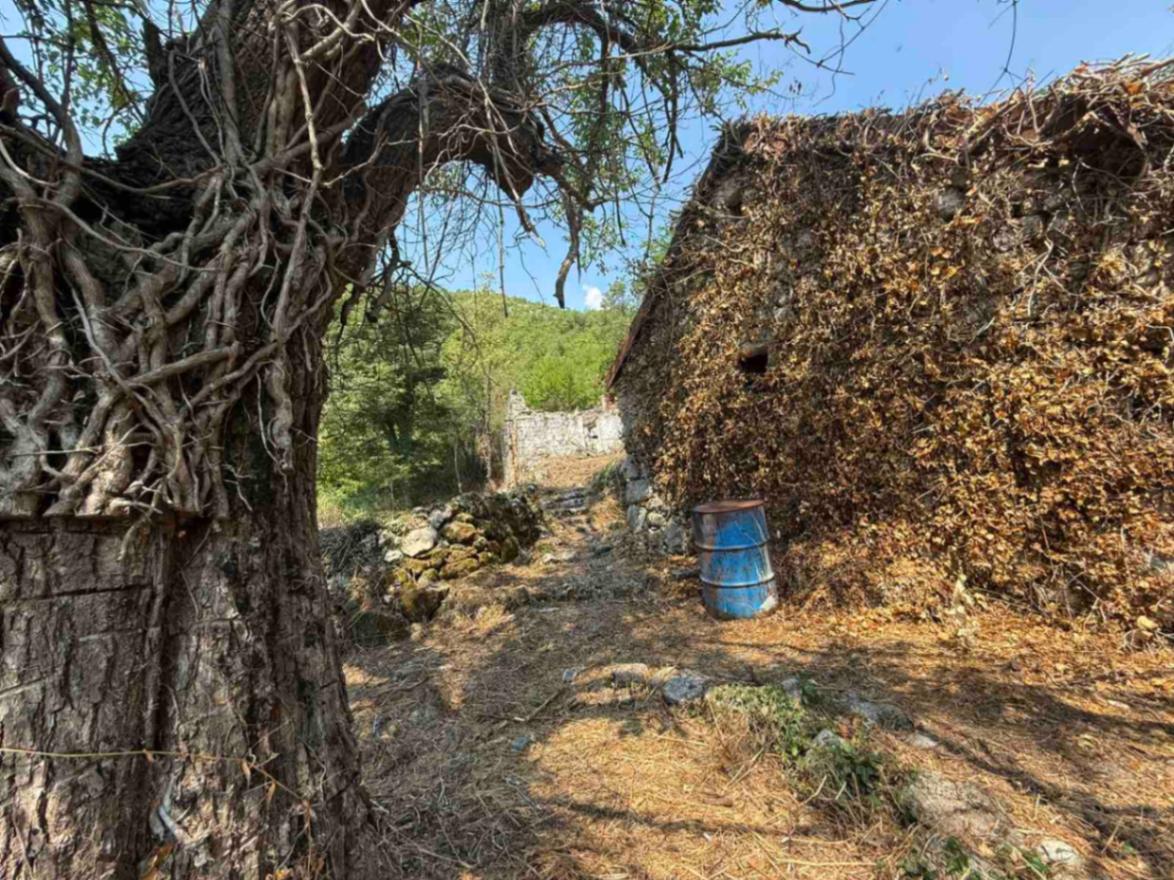 Prodaja - Zemljište Cetinje, Dobrsko Selo