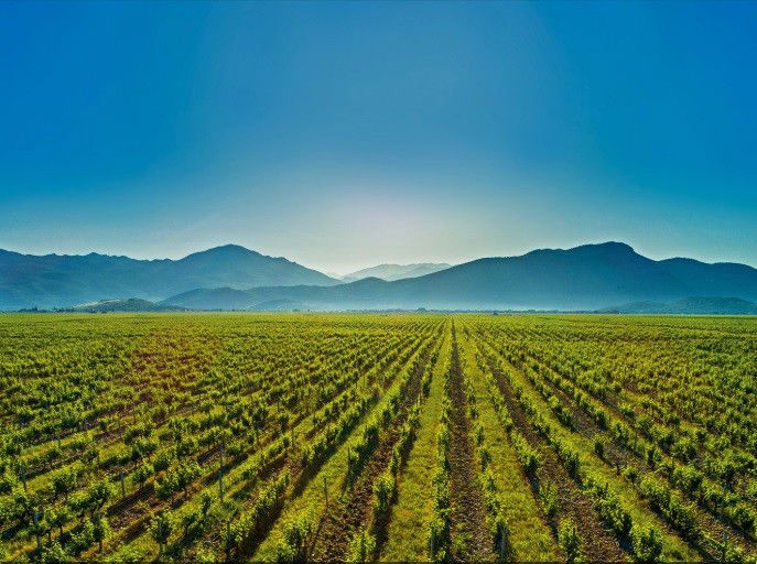 Продаж - Земля Podgorica, Gornja Gorica