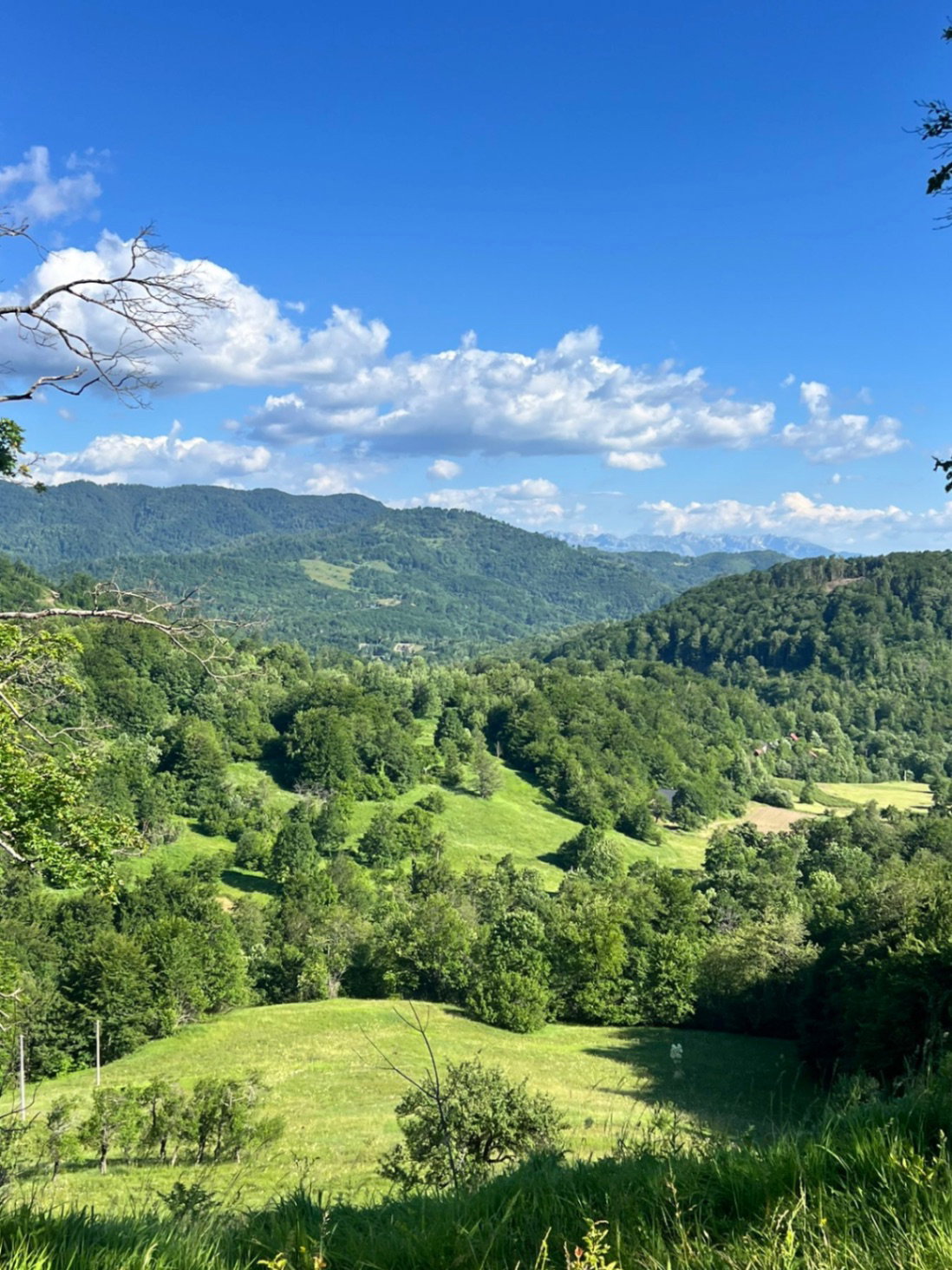 Sale - Land Kolašin, Raško
