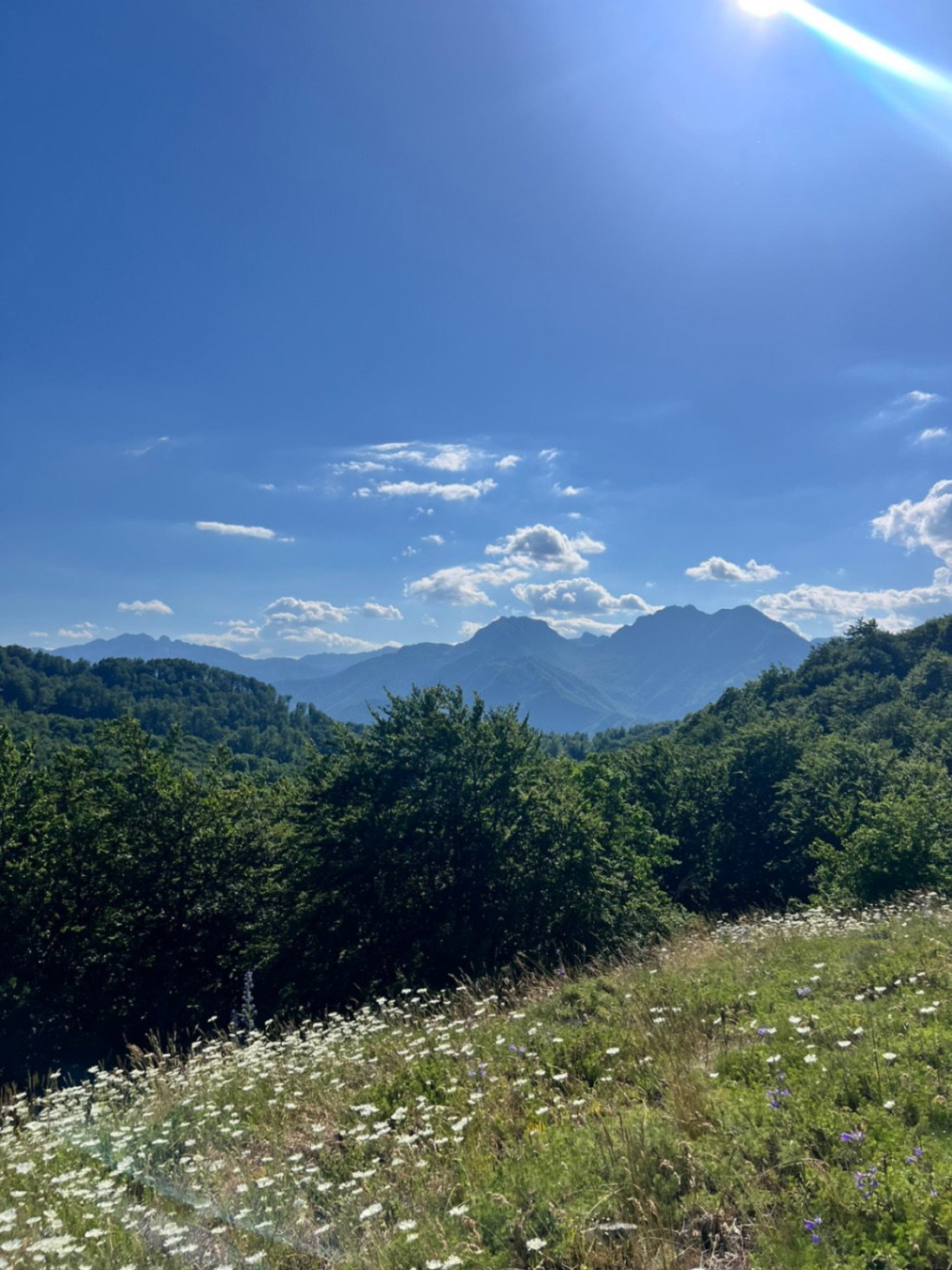 Slika nekretnine 5