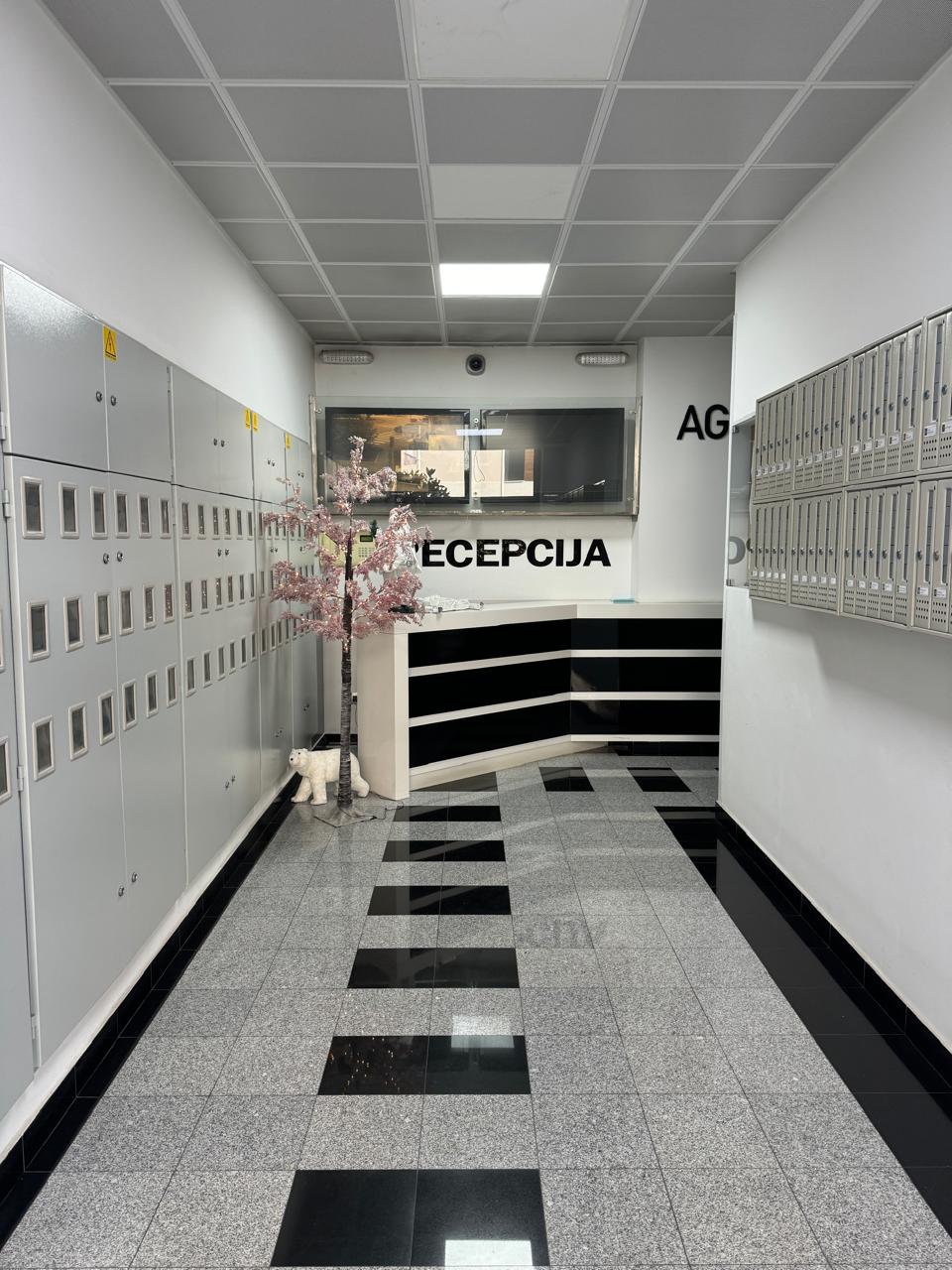 7d90c96e-ac2a-4bc3-95a9-90fb46a7d65b.jpeg