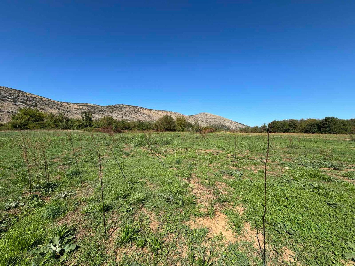 Продаж - Земля Podgorica, Botun