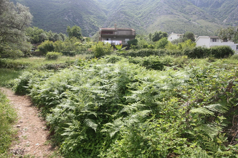 Slika nekretnine 4