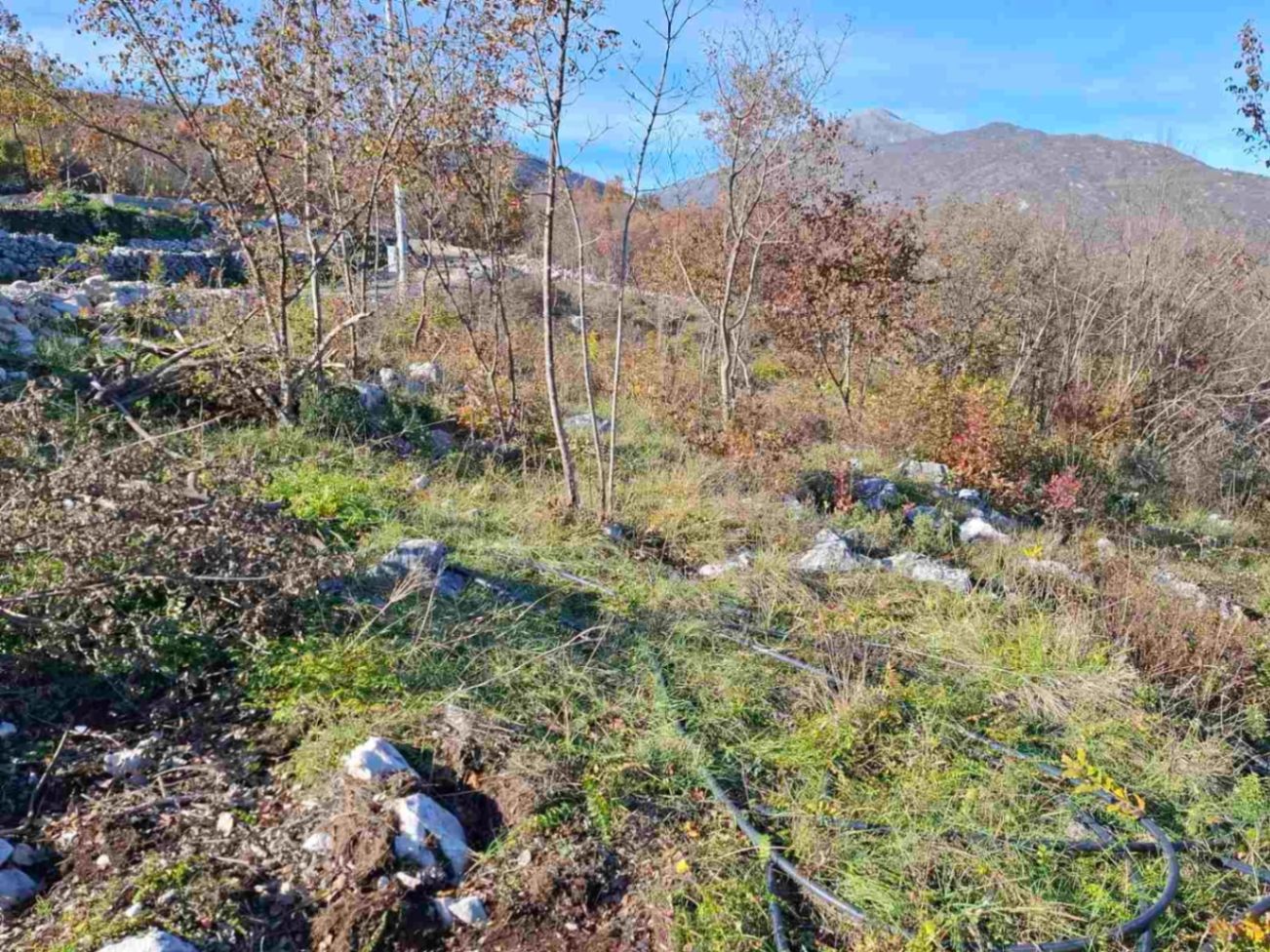 Продажа - Земля Danilovgrad, Bandići