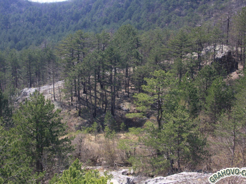 Slika nekretnine 6