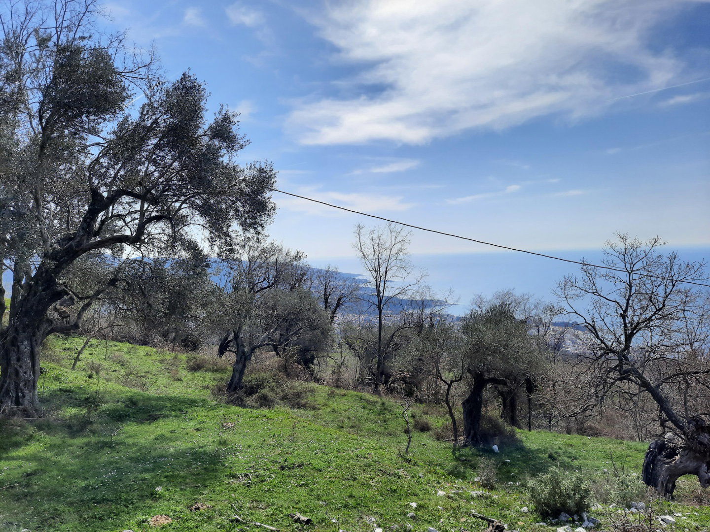 Sale - Land Bar, Dobre Vode