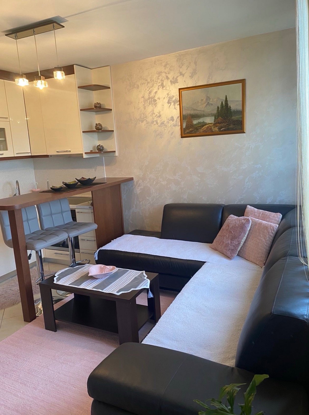Rent - Apartment Podgorica, Centar