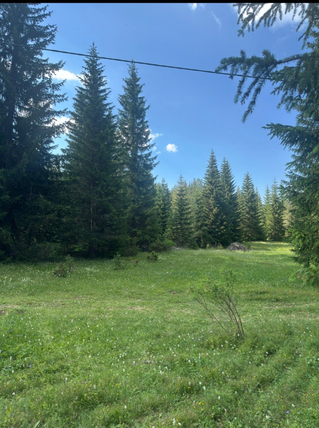 Slika nekretnine 4