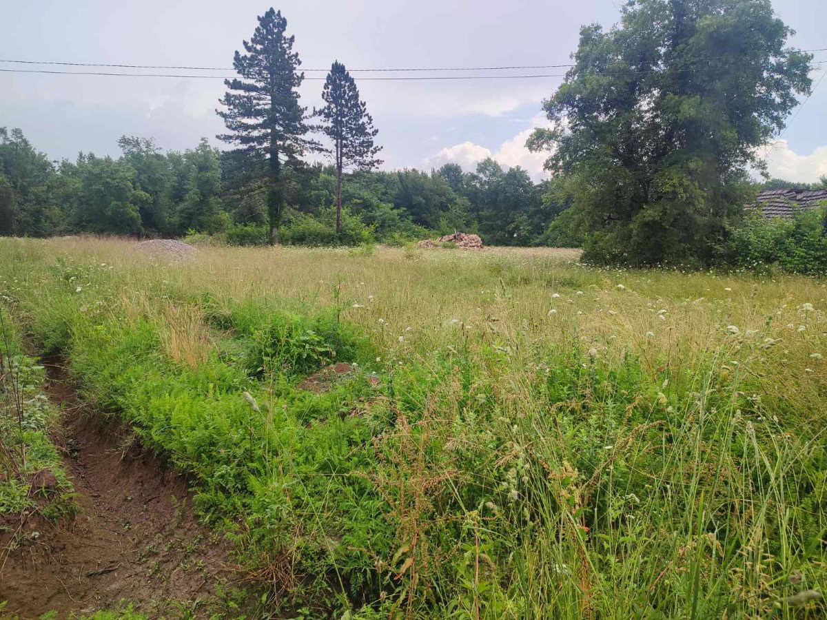 Satış - Arazi Danilovgrad, Ćurilac